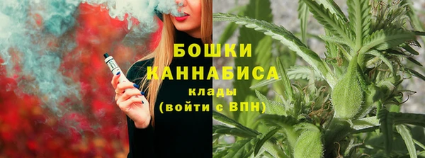 ешки Алзамай
