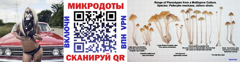 купить наркотик  Жуков  mega   Галлюциногенные грибы Psilocybine cubensis 